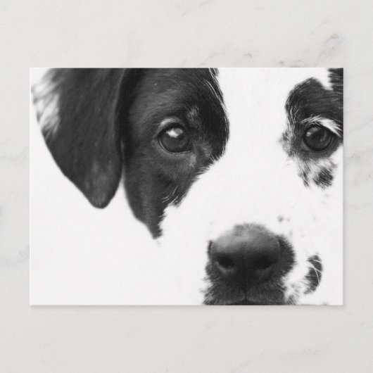 元気か？ ポストカード (正面)