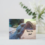 元気か？ ポストカード (スタンド正面)