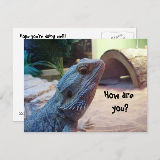 元気か？ ポストカード (正面/裏面)