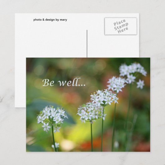 元気である ポストカード (正面/裏面)