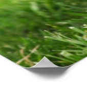 元気で元気な子犬 ポスター (角)