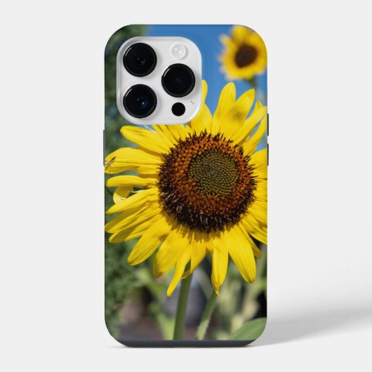 元気なひまわり iPhoneケース (裏面)
