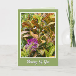 元気なスピーディーな回復を願うカード カード