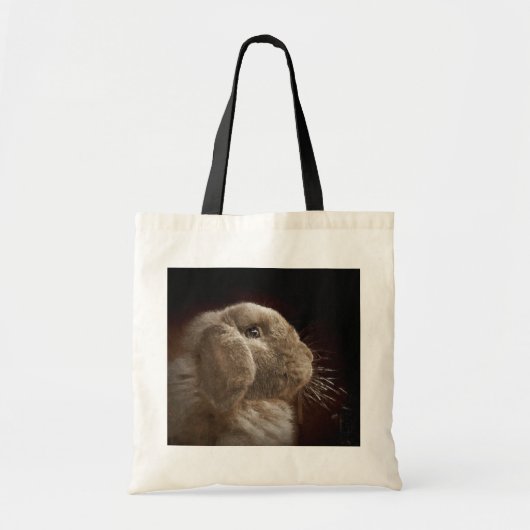 元気なバッグ トートバッグ (正面)