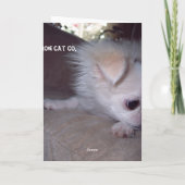 元気な子犬のカードを手に入れる カード (裏面)