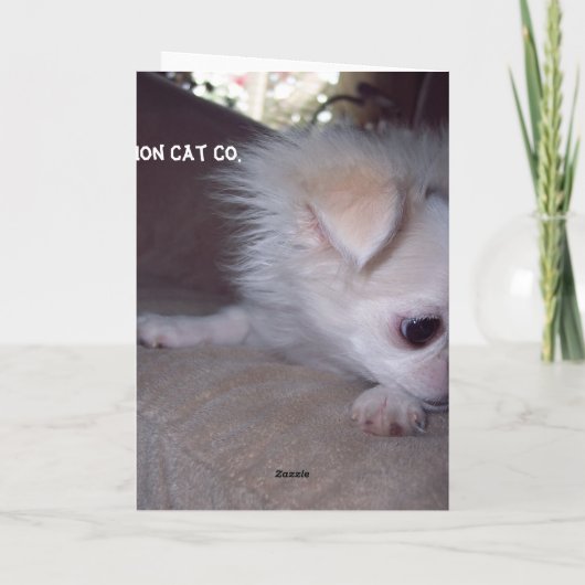 元気な子犬のカードを手に入れる カード (裏面)