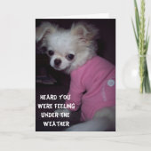 元気な子犬のカードを手に入れる カード (正面)