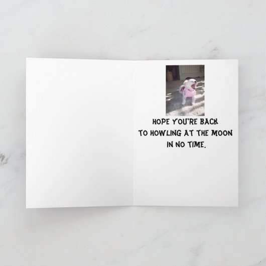 元気な子犬のカードを手に入れる カード (内部)