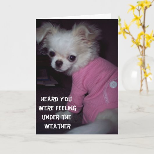 元気な子犬のカードを手に入れる カード (黄色い花)