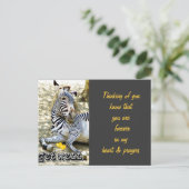 元気になる ポストカード (スタンド正面)