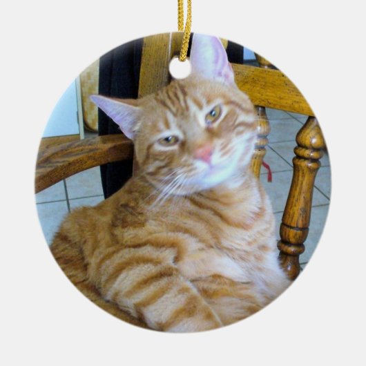 元気に甘えた猫ネコが登場 セラミックオーナメント (正面)