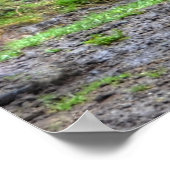 元気よくはしゃぐな栗の牧場の馬の写ウマ科の真 ポスター (角)