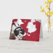 元気を取る – Havan Puppy Card カード (黄色い花)