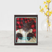 元気出して カード (黄色い花)