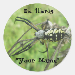 元Argiope aurantiaスタンプ ラウンドシール