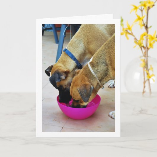 兄妹と一緒に飲む、犬の肖像 カード (黄色い花)