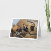 兄妹と犬の肖像画 カード (正面)