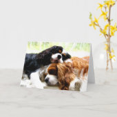 兄弟の騎士 カード (黄色い花)