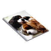 兄弟の騎士 ノートブック (右側)