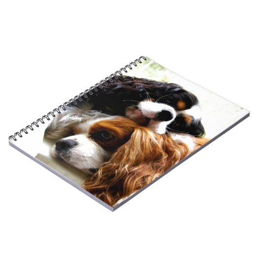 兄弟の騎士 ノートブック (左側)