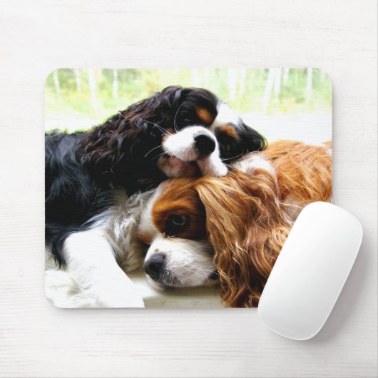 兄弟の騎士 マウスパッド (マウス)