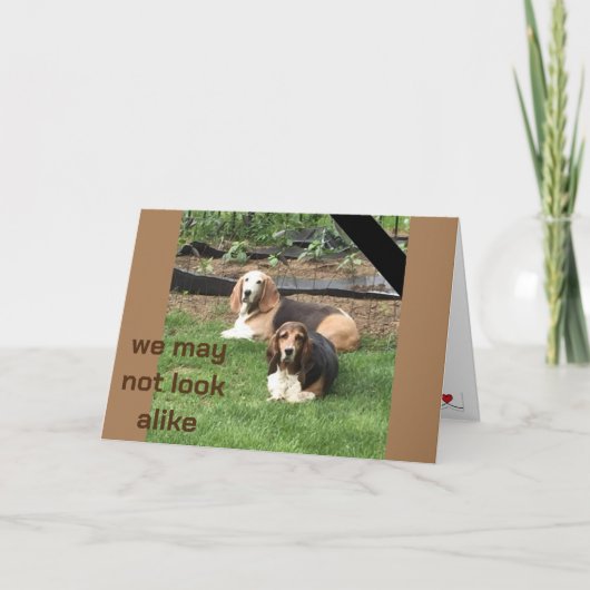 **兄弟ツイン**オン誕生日 カード (正面)