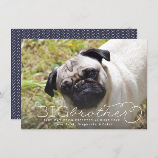 兄弟写真ペット妊娠発表 案内状 (正面/裏面)