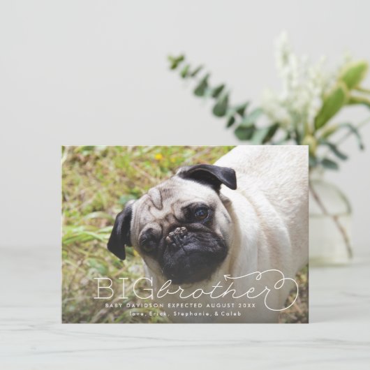 兄弟写真ペット妊娠発表 案内状 (スタンド正面)