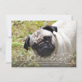 兄弟写真ペット妊娠発表 案内状