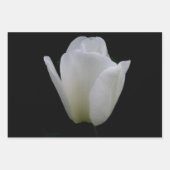 兄弟姉妹の誕生日 ラッピングペーパーシート (正面3)