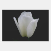 兄弟姉妹の誕生日 ラッピングペーパーシート (正面2)