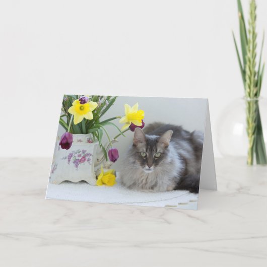 兄弟姉妹日のグリーティングカード カード (正面)