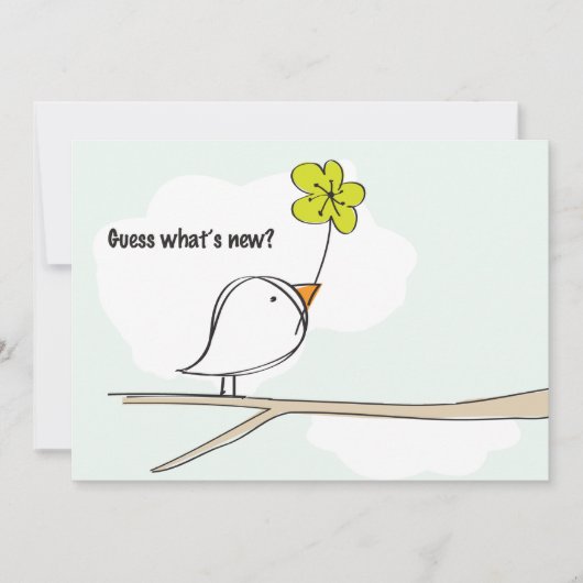 兄弟姉妹鳥写真妊娠の発表 案内状 (正面)