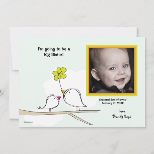 兄弟姉妹鳥写真妊娠の発表 案内状 (裏面)