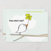 兄弟姉妹鳥写真妊娠の発表 案内状 (正面/裏面)