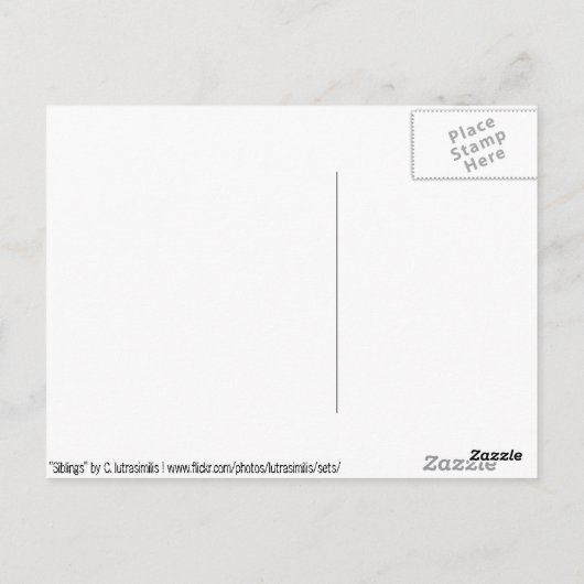 兄弟姉妹 ポストカード (裏面)