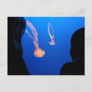 兄弟姉妹 ポストカード