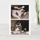 兄弟姉妹-兄弟及び姉妹 カード (正面)