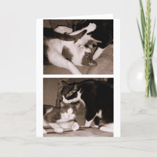 兄弟姉妹-兄弟及び姉妹 カード