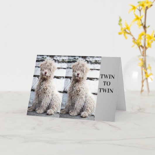 **兄弟姉妹**誕生日 カード (黄色い花)