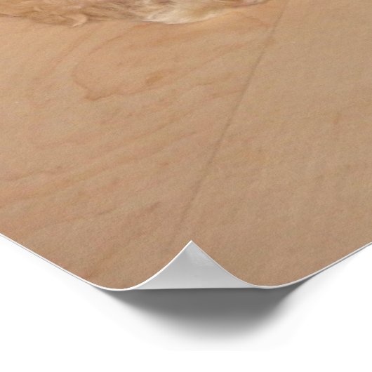 兄弟愛！ ポスター (角)