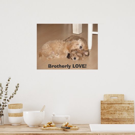 兄弟愛！ ポスター (キッチン)