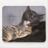 兄弟愛 マウスパッド (正面)