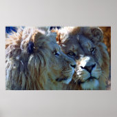 兄弟 ポスター (正面)