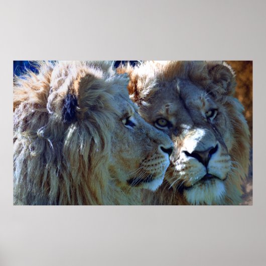 兄弟 ポスター (正面)