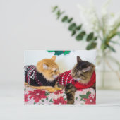 兄弟 ポストカード (スタンド正面)