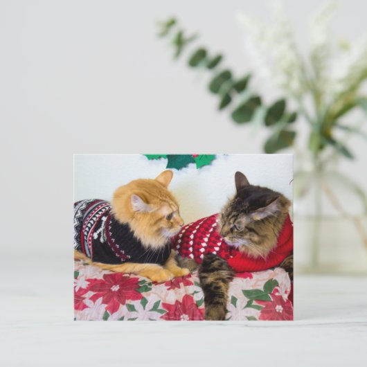 兄弟 ポストカード (スタンド正面)