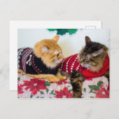 兄弟 ポストカード (正面/裏面)