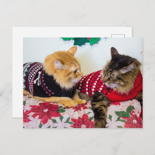 兄弟 ポストカード (正面/裏面)