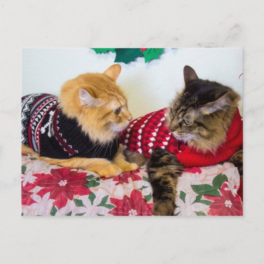 兄弟 ポストカード (正面)